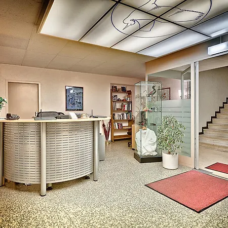 Hotel Phoenix Ginevra